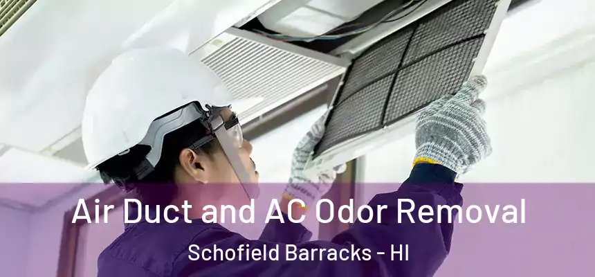  Air Duct and AC Odor Removal Schofield Barracks - HI