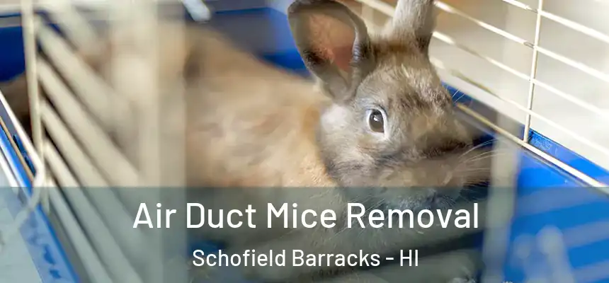  Air Duct Mice Removal Schofield Barracks - HI