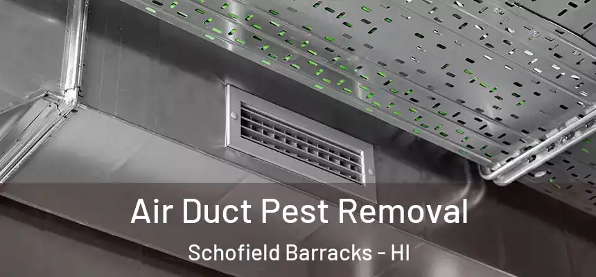  Air Duct Pest Removal Schofield Barracks - HI