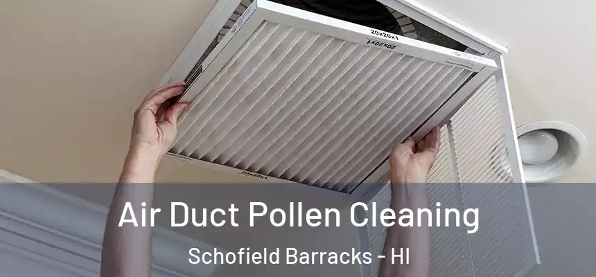  Air Duct Pollen Cleaning Schofield Barracks - HI
