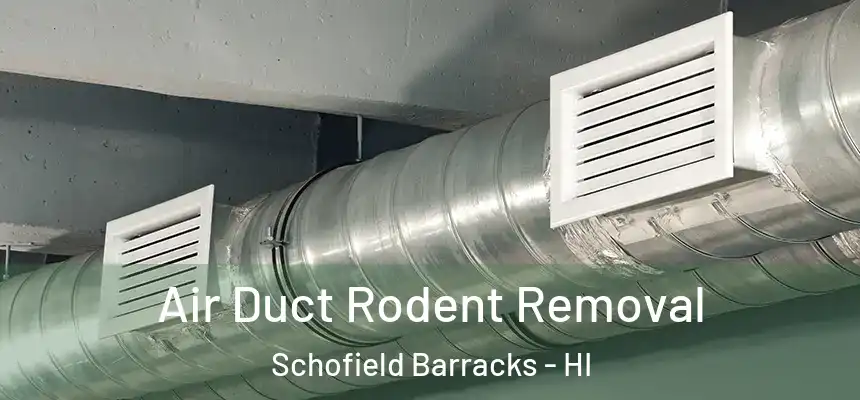  Air Duct Rodent Removal Schofield Barracks - HI