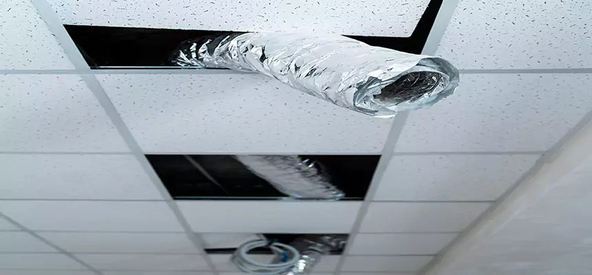 Our Air Duct Pet Hair Removal Services in Schofield Barracks, HI