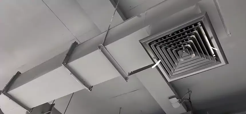 Our Pest Removal From Ducts Services in Schofield Barracks, HI