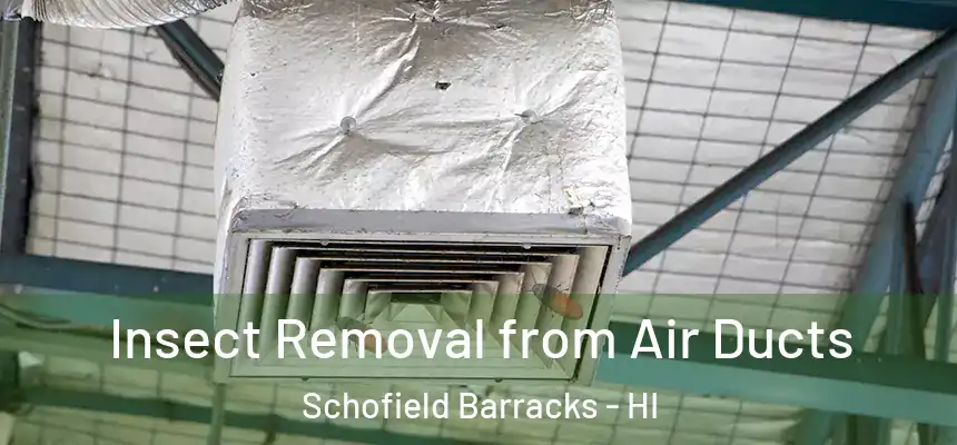  Insect Removal from Air Ducts Schofield Barracks - HI