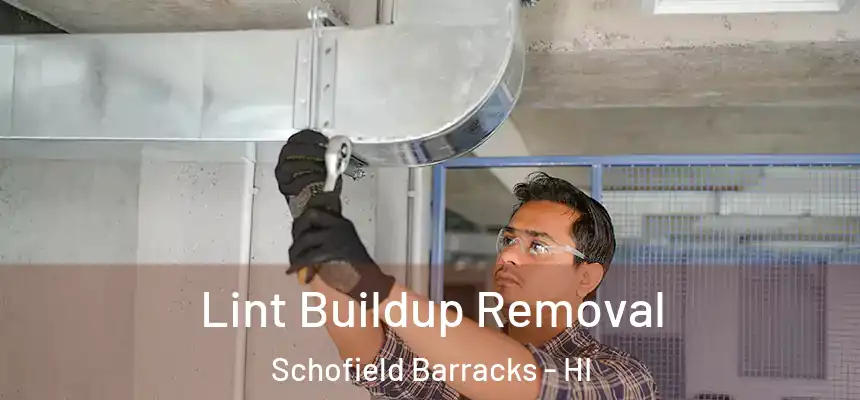  Lint Buildup Removal Schofield Barracks - HI