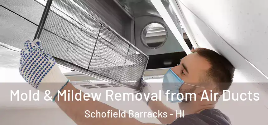  Mold & Mildew Removal from Air Ducts Schofield Barracks - HI