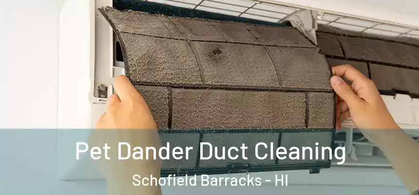  Pet Dander Duct Cleaning Schofield Barracks - HI