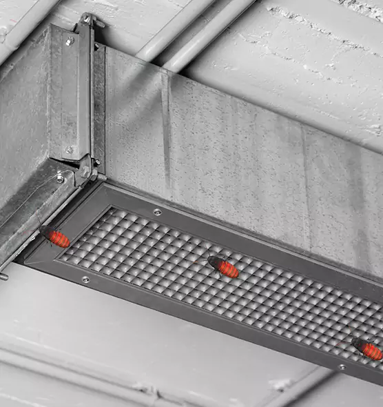 Affordable Insect Removal from Air Ducts in Schofield Barracks, HI