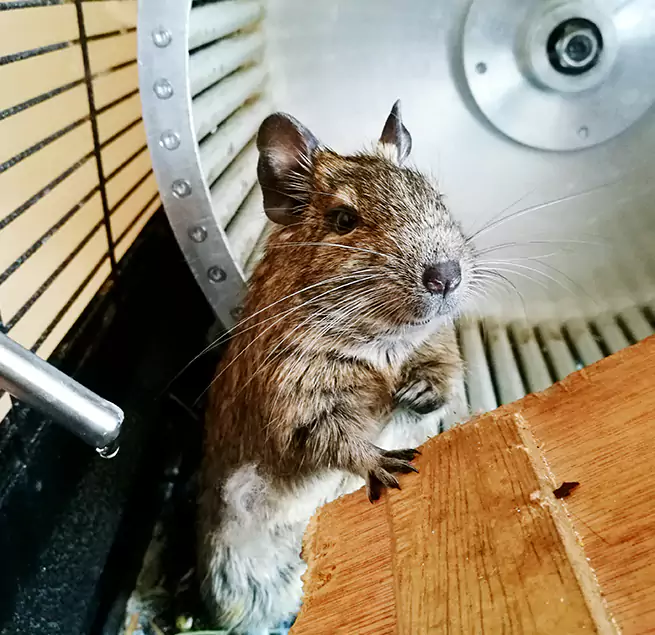 Why Homeowners & Businesses Trust Us Schofield Barracks, HI