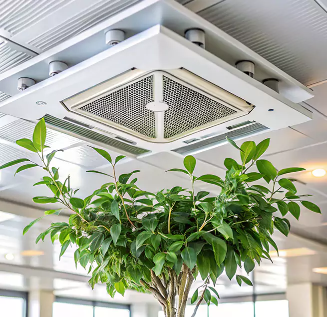 Why Homeowners & Businesses Trust Us in Schofield Barracks, HI?