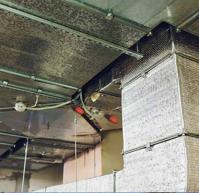 Why Homeowners & Businesses Trust Us Schofield Barracks, HI?